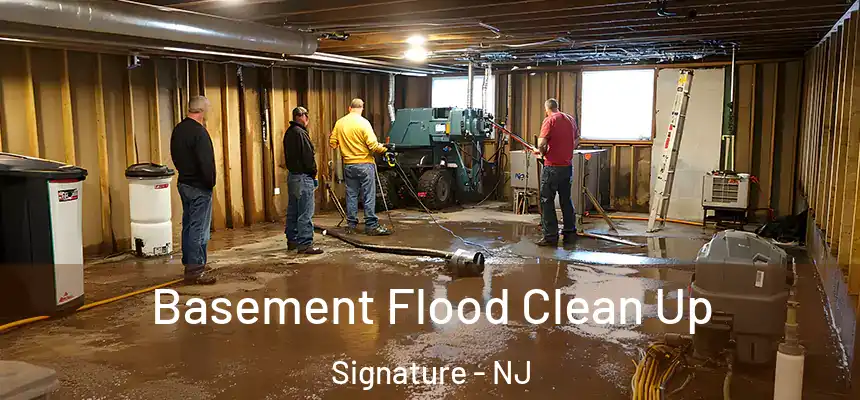  Basement Flood Clean Up Signature - NJ