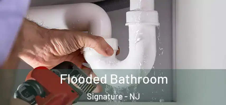  Flooded Bathroom Signature - NJ