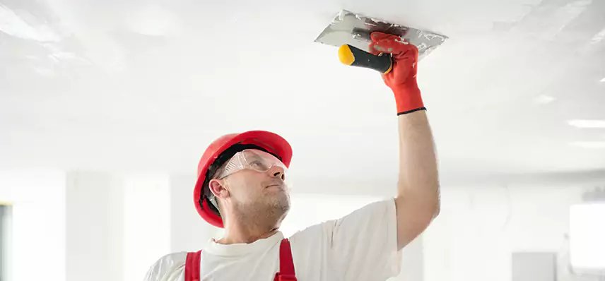 Basement Water Damage Repair in Signature