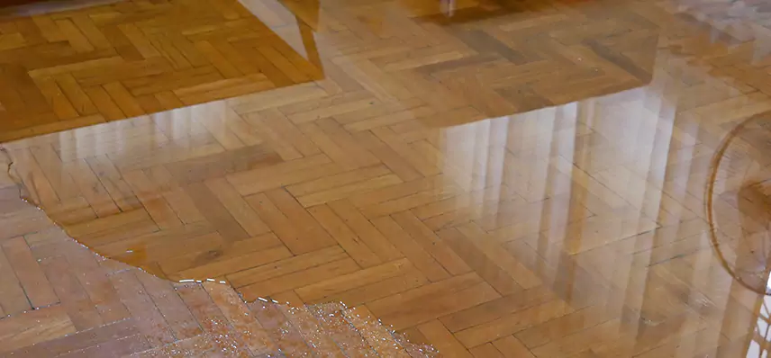 Laminate Wood Floor Water Damage Repair in Signature