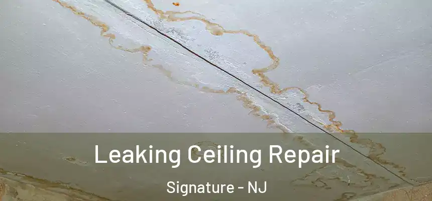  Leaking Ceiling Repair Signature - NJ