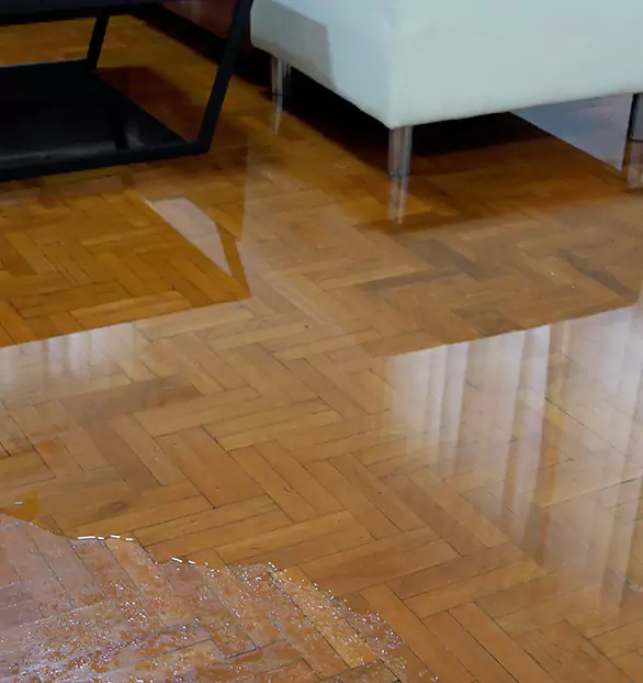 Trusted Emergency Water Restoration Company in Signature, NJ