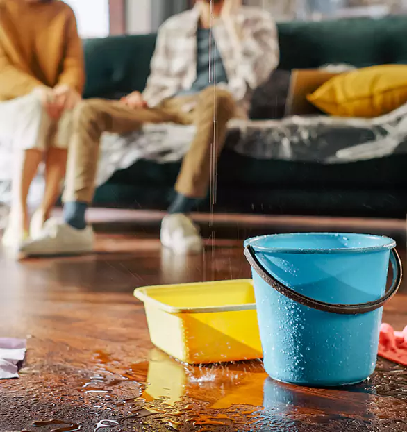 Trusted Water Restoration Company in Signature, NJ