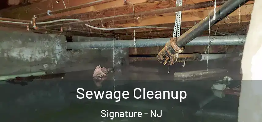  Sewage Cleanup Signature - NJ