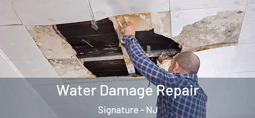  Water Damage Repair Signature - NJ