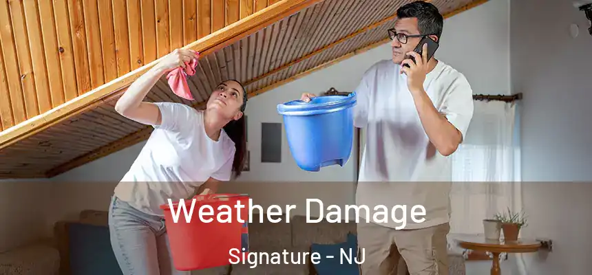  Weather Damage Signature - NJ